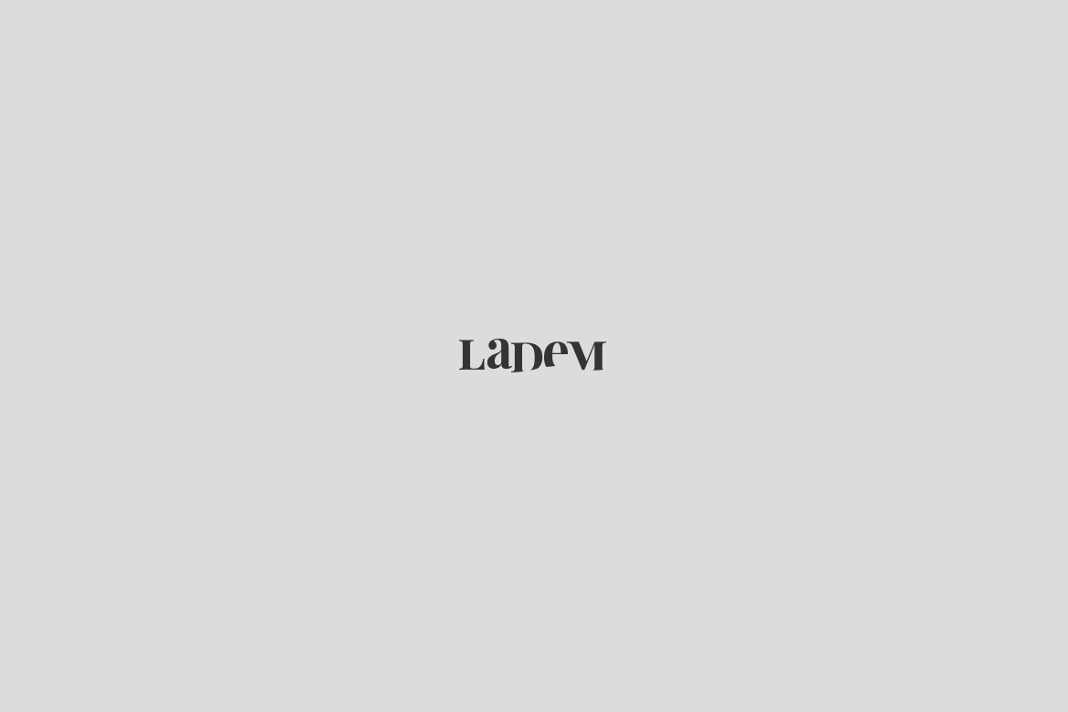 lademgif-final